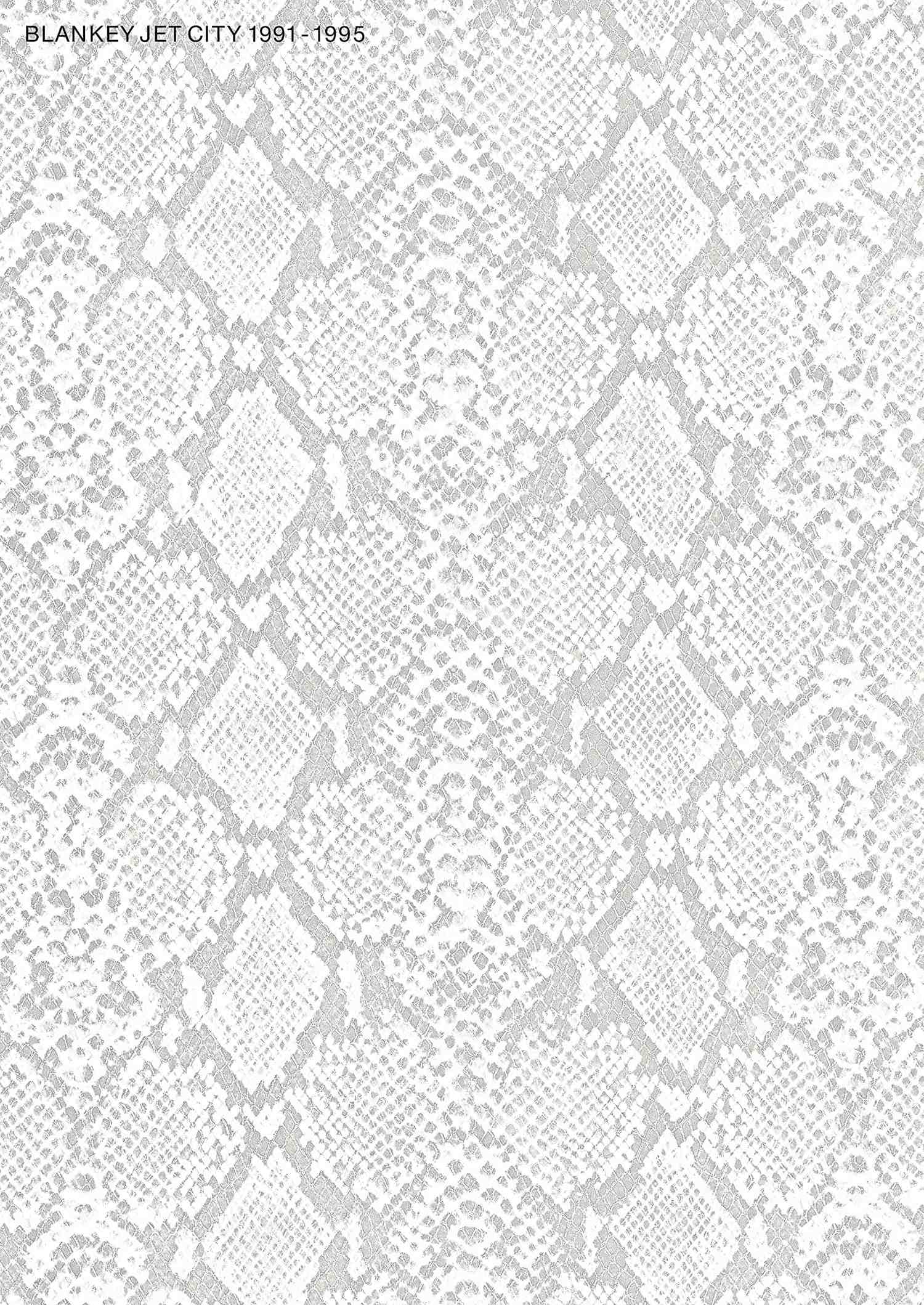 BLANKEY JET CITY Band Score / 1991-1995 - Sheet Music Book