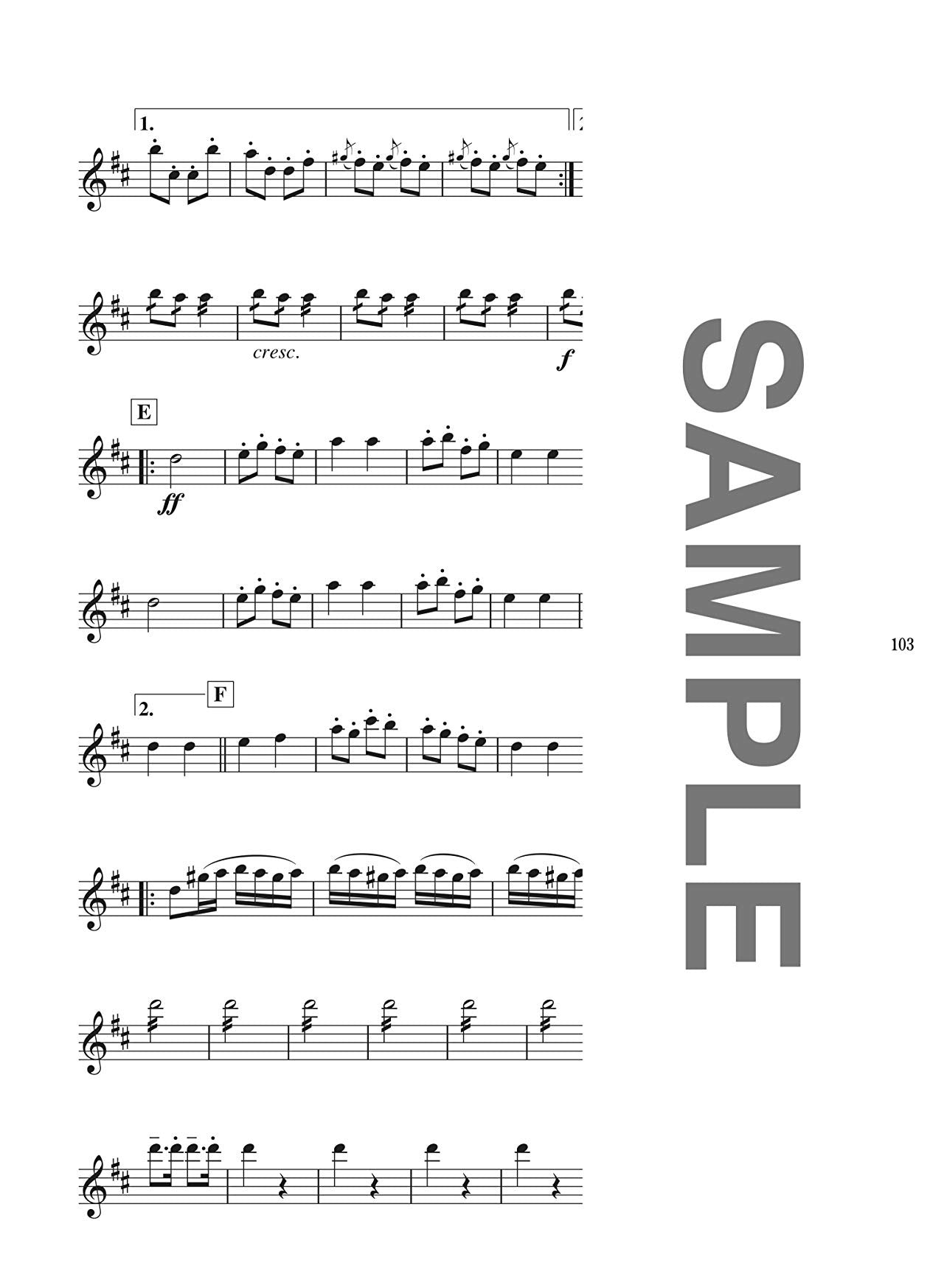 Popular Collection Flute Solo for Teenagers - Sheet Music Book