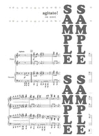 Shinya Kiyozuka - KIYOZUKA LAND: Piano Duet - Sheet Music Book