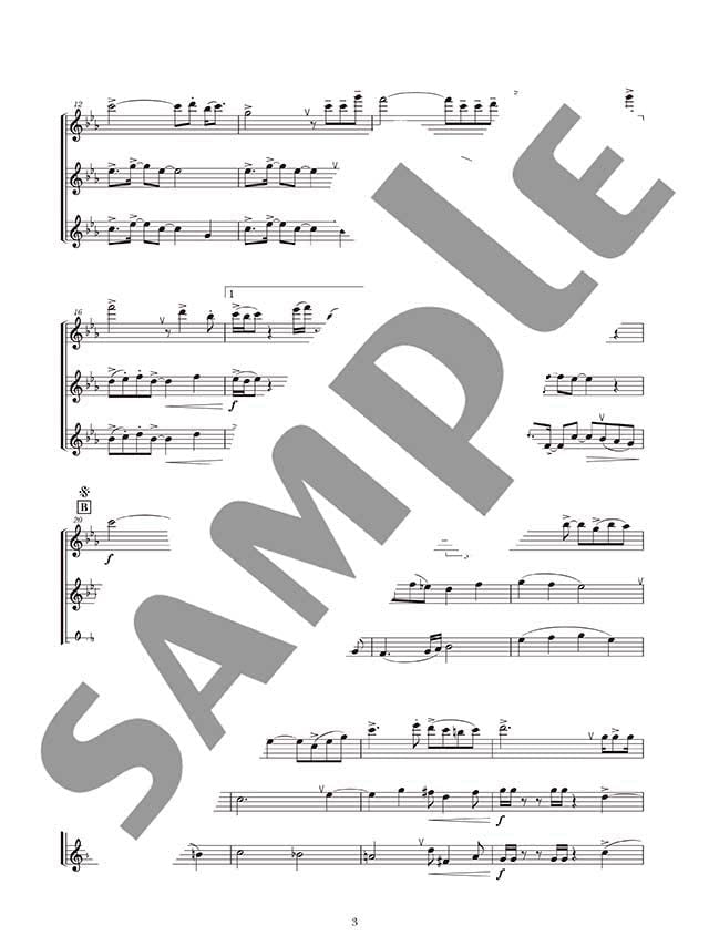 Ensemble de Anime for Flute Solo - Sheet Music Book