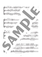 Ensemble de Anime for Flute Solo - Sheet Music Book