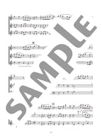 Ensemble de Anime for Flute Solo - Sheet Music Book